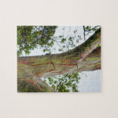 Rainbow Eucalyptus Trees, Maui, Hawaii, VS Legpuzzel (Horizontaal)