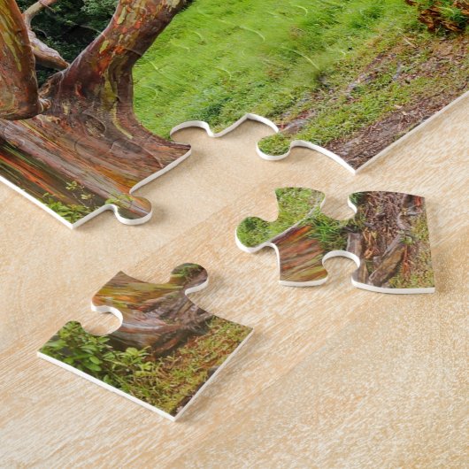 Rainbow Eucalyptus Trees, Maui, Hawaii, VS Legpuzzel (Zijkant)