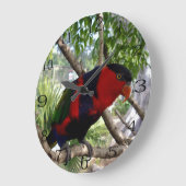 Rainbow Feathers: Australische Lorikeet, Grote Klok (Hoek)