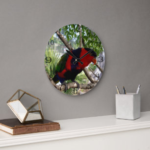 Rainbow Feathers: Australische Lorikeet, Grote Klok