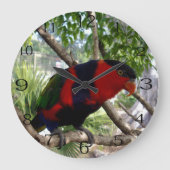 Rainbow Feathers: Australische Lorikeet, Grote Klok (Voorkant)