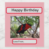 Rainbow Feathers:  Australische Lorikeet, Wijn Etiket (Enkel label)