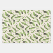 Rainbow Feathers Inpakpapier Vel (Voorkant 3)