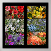 Rainbow Flower Photo Collage Poster (Voorkant)