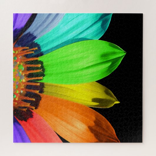 Rainbow Flower Puzzle Legpuzzel (Horizontaal)