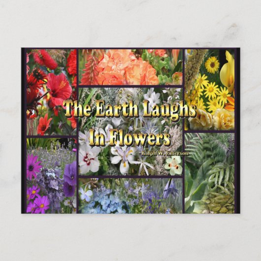 Rainbow Flowers - Earth Laughs van Emerson Briefkaart (Voorkant)