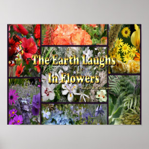 Rainbow Flowers - Earth Laughs van Emerson Poster