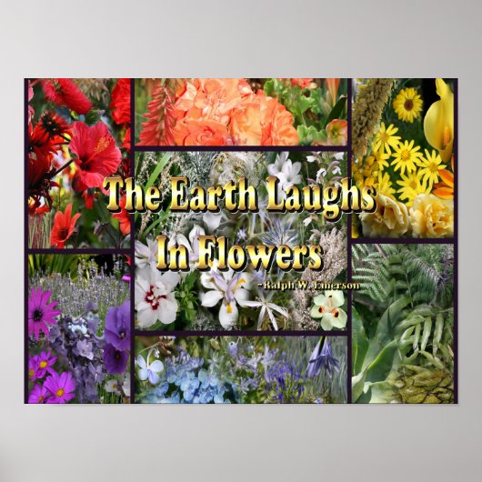 Rainbow Flowers - Earth Laughs van Emerson Poster (Voorkant)