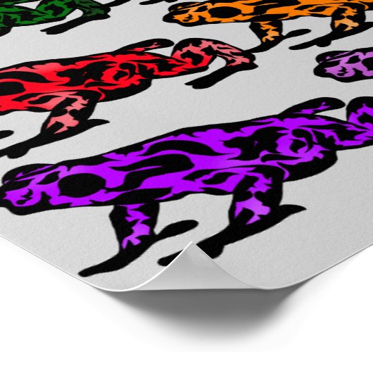 Rainbow Frog Chart Poster (Hoek)