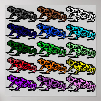 Rainbow Frog Chart Poster