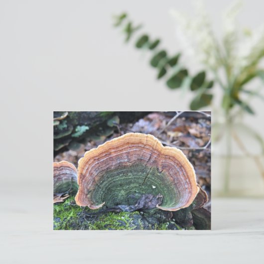 Rainbow Fungus Briefkaart (Staand voorkant)