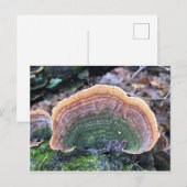 Rainbow Fungus Briefkaart (Voorkant / Achterkant)