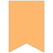 Rainbow Gradient Thema Party Bunting Banner Vlagge (Tweede vlag)
