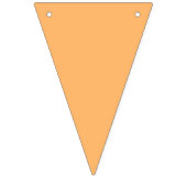 Rainbow Gradient Thema Party Bunting Banner Vlagge (Tweede vlag)
