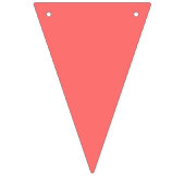 Rainbow Gradient Thema Party Bunting Banner Vlagge (Eerste vlag)