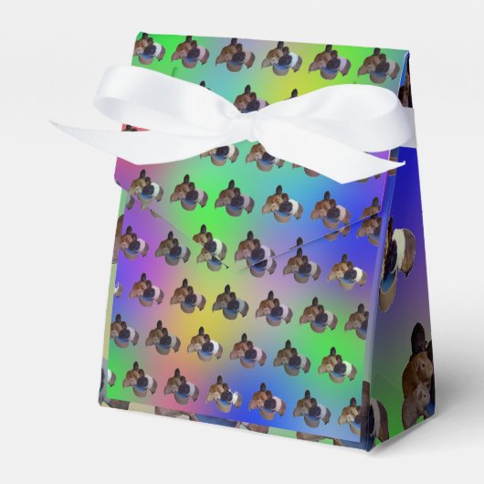 Rainbow Guinee Pigs Pattern, Birthday Favor Box Bedankdoosjes (Voorkant Zijde)