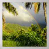 Rainbow-Hakipuu Poster (Voorkant)