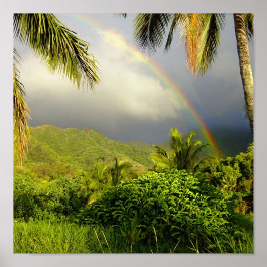 Rainbow-Hakipuu Poster (Voorkant)