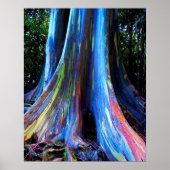 RAINBOW HAWAII EUCALYPTUS TREE POSTER (Voorkant)