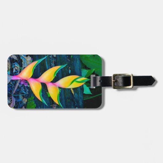 Rainbow Heliconia, Haena, Kauai, Hawaii Bagagelabel (Voorkant horizontaal)