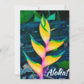 Rainbow Heliconia, Haena, Kauai, Hawaii Kaart (Voorkant)