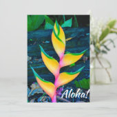 Rainbow Heliconia, Haena, Kauai, Hawaii Kaart (Staand voorkant)