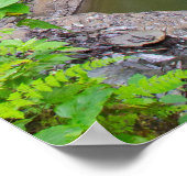 Rainbow-Herfsten en cascade, Watkins Glen, New Yor Poster (Hoek)