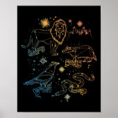 Rainbow HOGWARTS™ Houses Constellations Poster (Voorkant)