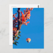 Rainbow Hot Air Ballon New Mexico Briefkaart (Voorkant / Achterkant)