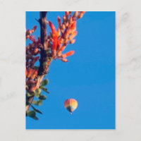 Rainbow Hot Air Ballon New Mexico