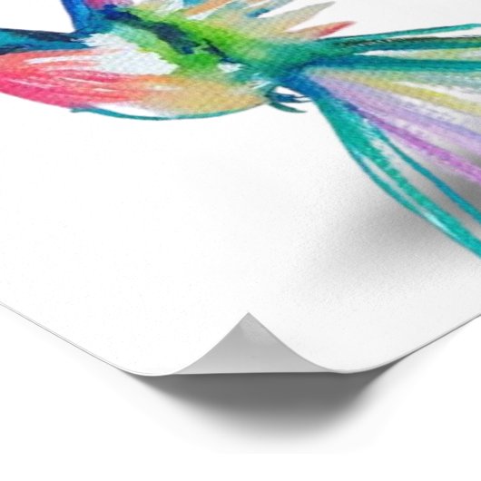 Rainbow Hummingbird Premium Canvas Poster (8x10) (Hoek)