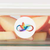 Rainbow Hummingbird with Infinity symbol Labels (Aangebracht)