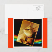 Rainbow Indigo Briefkaart (Voorkant / Achterkant)