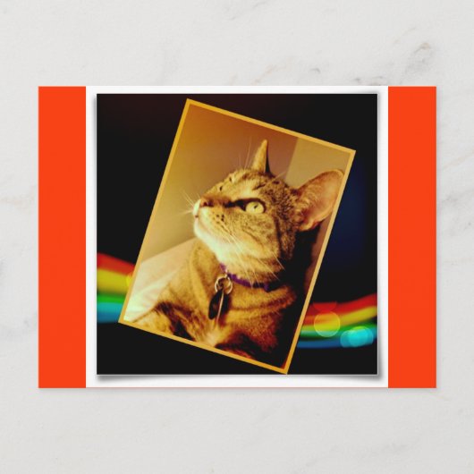 Rainbow Indigo Briefkaart (Voorkant)