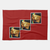 Rainbow Indigo Theedoek (Horizontaal)