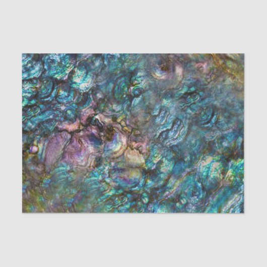 Rainbow Iridescent Abalone Beach Zee Shell Tissuepapier (Voorkant)