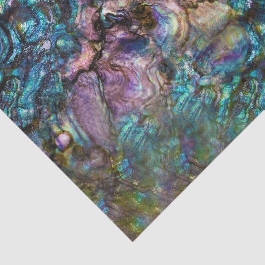 Rainbow Iridescent Abalone Beach Zee Shell Tissuepapier (Detail)