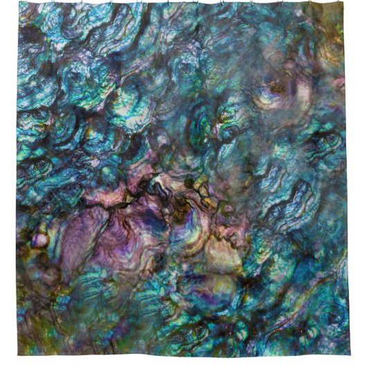 Rainbow Iridescent Abalone Zee Shell Douchegordijn (Voorkant)