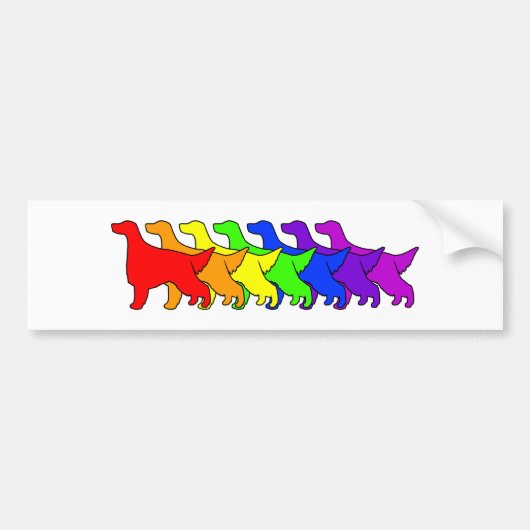 Rainbow Irish Setter Bumpersticker (Voorkant)