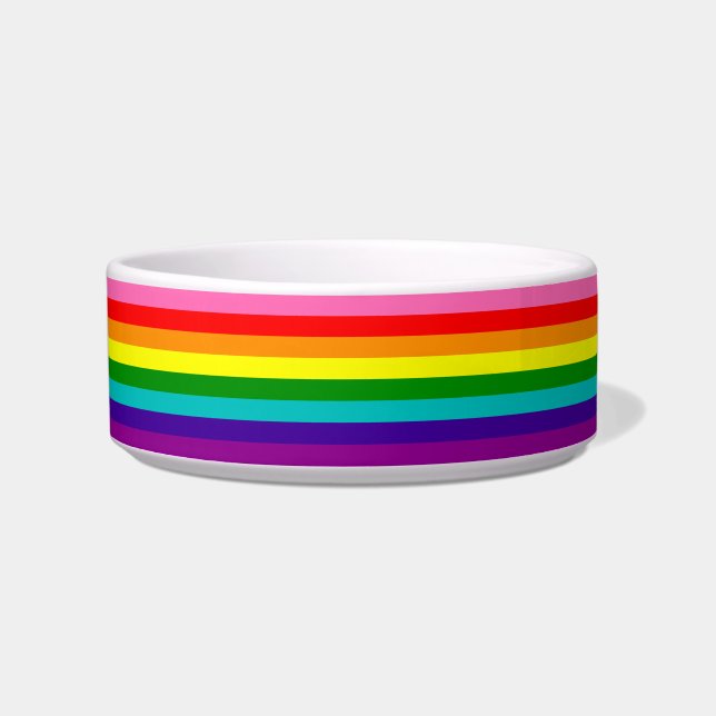 Rainbow LGBT gay flag Ceramic Pet Bowl. Voerbakje (Voorkant)