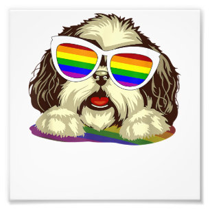 Rainbow LGBT vlag Gay Pride Shih Tzu Hond Kopie Foto Afdruk