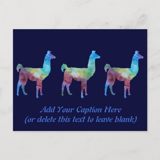 Rainbow Llamas Briefkaart (Voorkant)