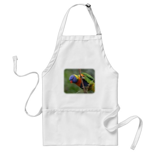 Rainbow Lorikeet 9Y209D-178 Standaard Schort (Voorkant)