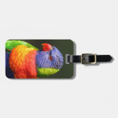 Rainbow Lorikeet Bagagelabel (Voorkant horizontaal)