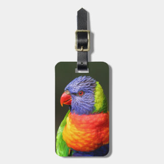 Rainbow Lorikeet Bagagelabel