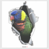 Rainbow Lorikeet Bird Decal– Exotic Parrot Sticker (Vel)