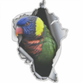 Rainbow Lorikeet Bird Decal– Exotic Parrot Sticker (Voorkant)
