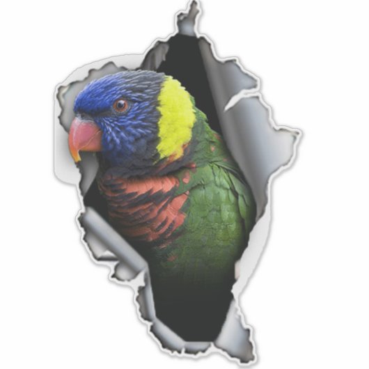 Rainbow Lorikeet Bird Decal– Exotic Parrot Sticker (Voorkant)