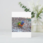 Rainbow Lorikeet Briefkaart (Staand voorkant)