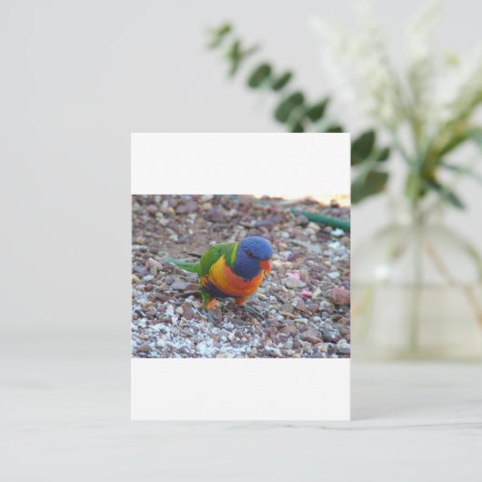 Rainbow Lorikeet Briefkaart (Staand voorkant)